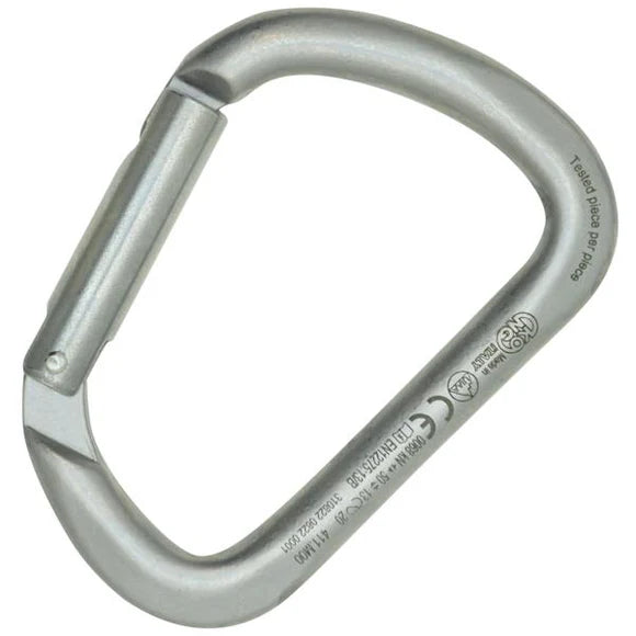 X-LARGE CARBON